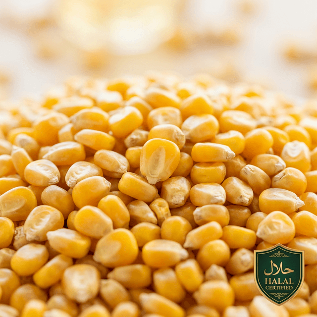 Premium Yellow Corn